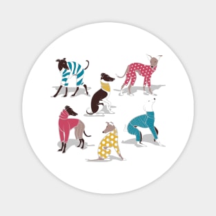 Greyhounds dogwalk // white background Magnet